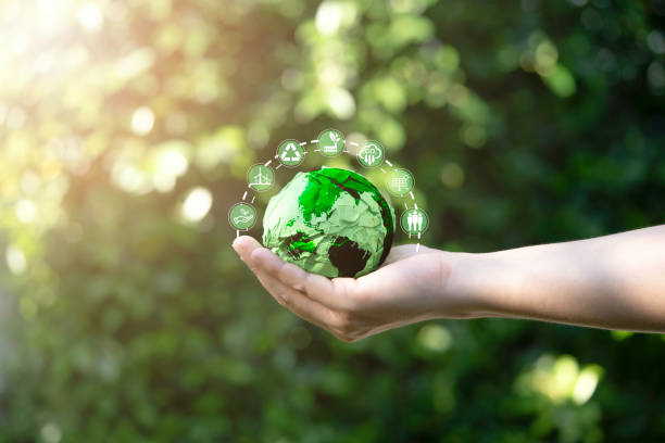 Mapfre neutraliza el 84% de su huella de carbono operativa en 16 proyectos globales de compensación